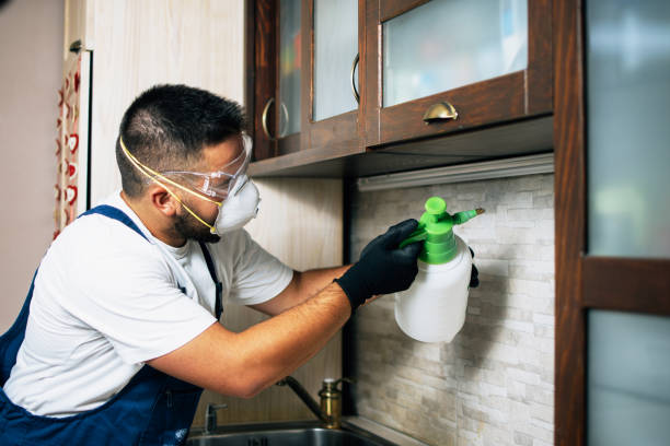 Best Residential Pest Control  in Belfair, WA