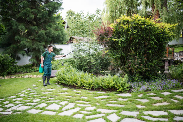 Best Affordable Pest Control Services  in Belfair, WA