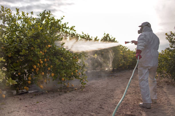 Best Best Pest Control Companies  in Belfair, WA
