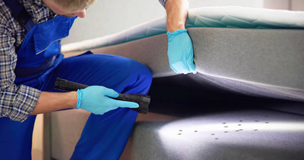 Best Commercial Pest Control Services  in Belfair, WA