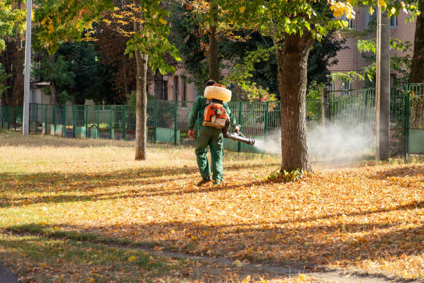 Best Best Pest Control Near Me  in Belfair, WA