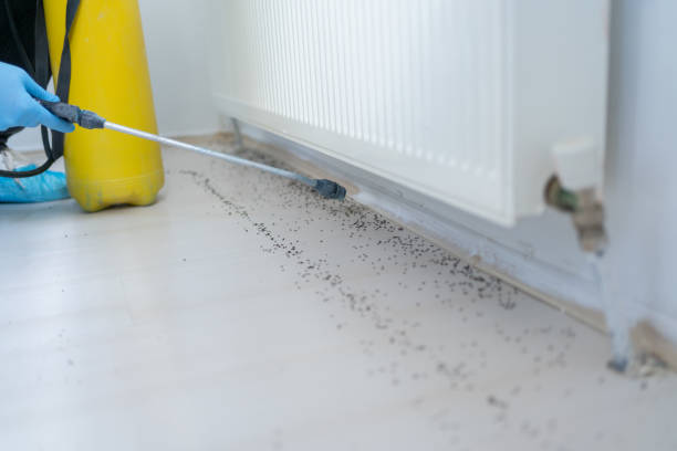 Best Commercial Pest Control Services  in Belfair, WA