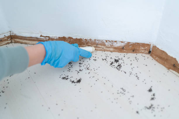 Best Wildlife Control Services  in Belfair, WA